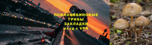 прущая мука Арсеньев