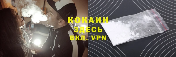 прущая мука Арсеньев
