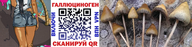 МЕГА ССЫЛКА Кашин Псилоцибиновые грибы Magic Shrooms